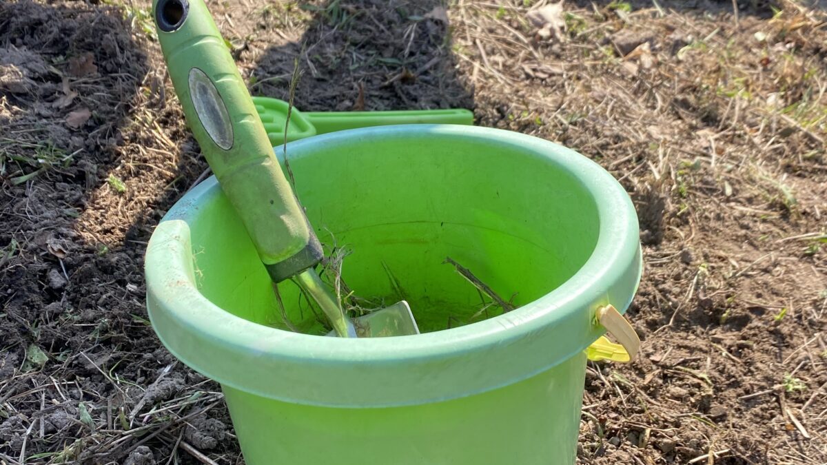 ein Kindereimer mit einem kleinen Gartengerät auf einer Wiese
