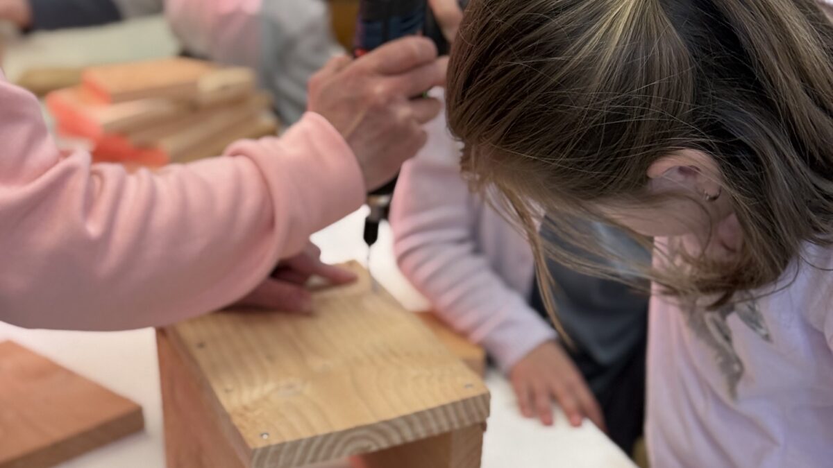 Kinder beim Zusammenbauen eines Nistkastens