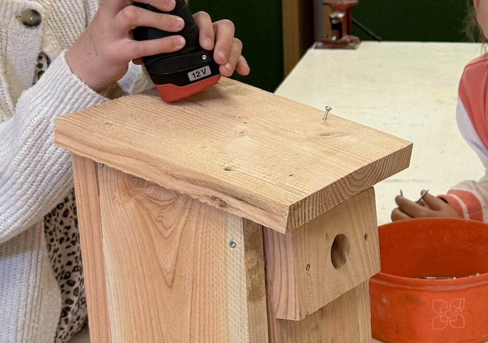 ein fertiger Nistkasten, Kinderhände mit einem Akkuschrauber